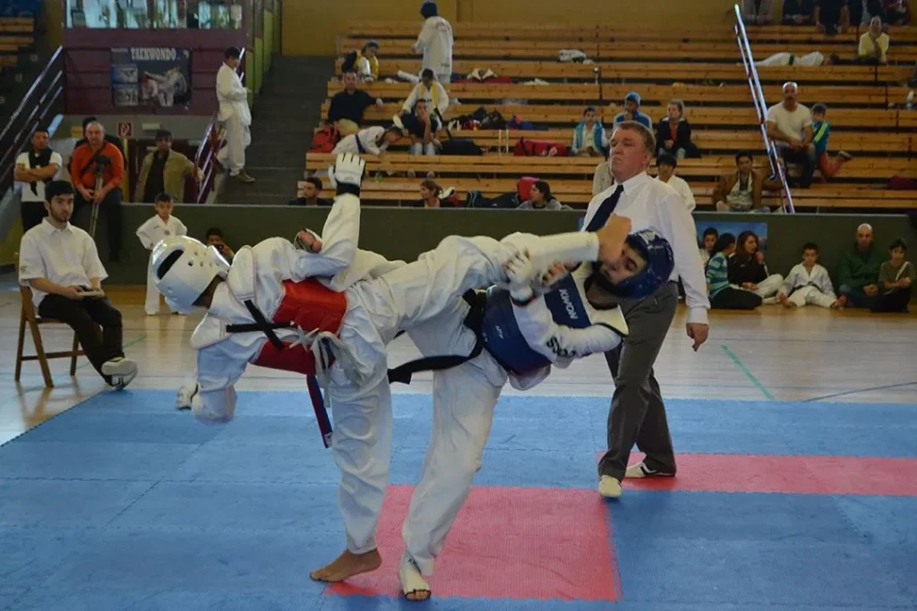 Berlinsan Taekwondo Pokal-5